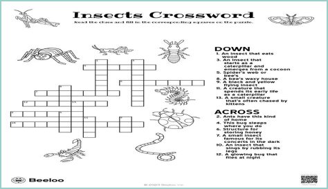 Bug catcher Crossword Clue NYT